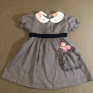 BABY TOGS  toddler girl roses 🌹 Dress, size 2T”